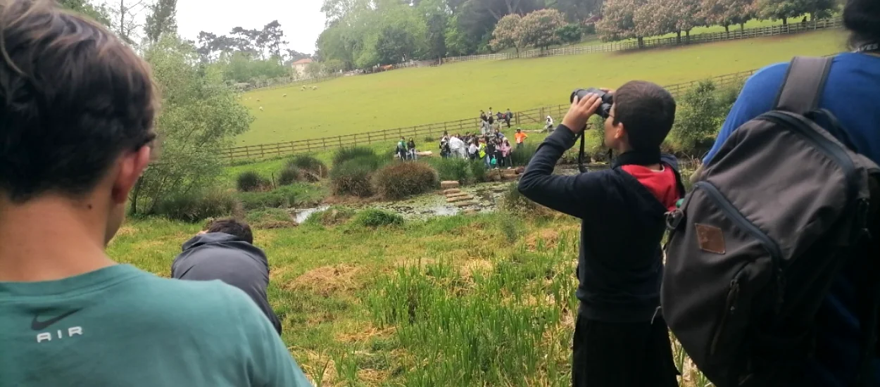 Escola Básica Fernando Pessoa participa no BioBlitz 2026 em Serralves